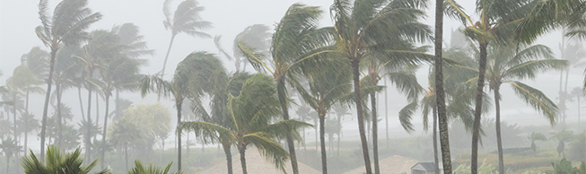 Tropical storm season has landed! Read our advice to plan your travel accordingly.