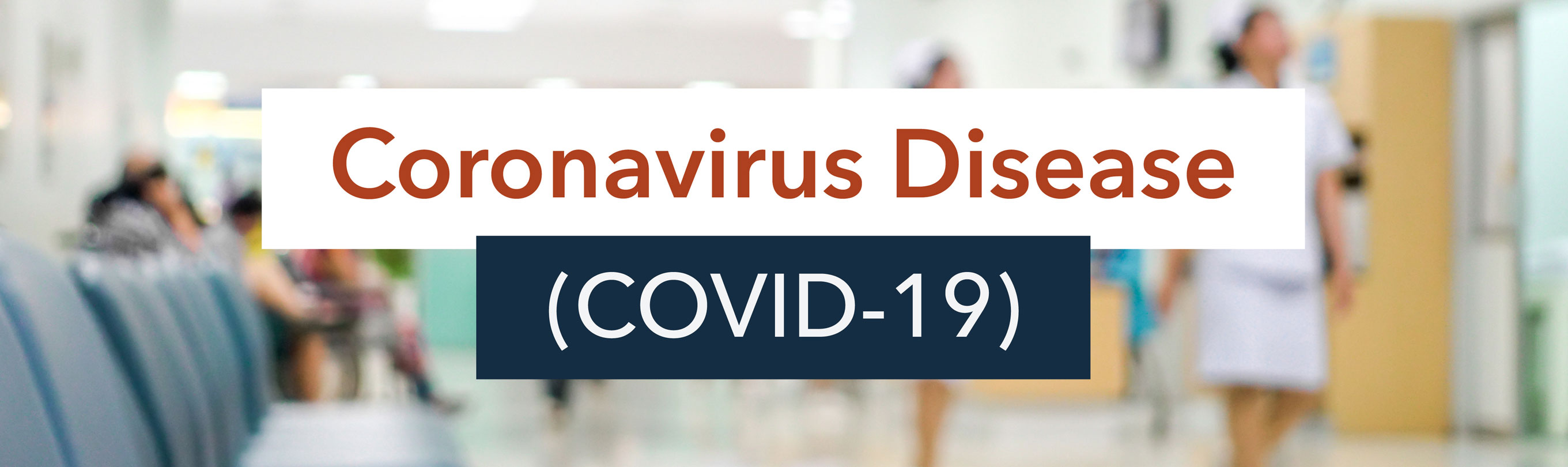 Novel Coronavirus (2019-nCov)